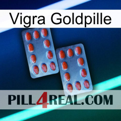 Vigra Gold Pill 05